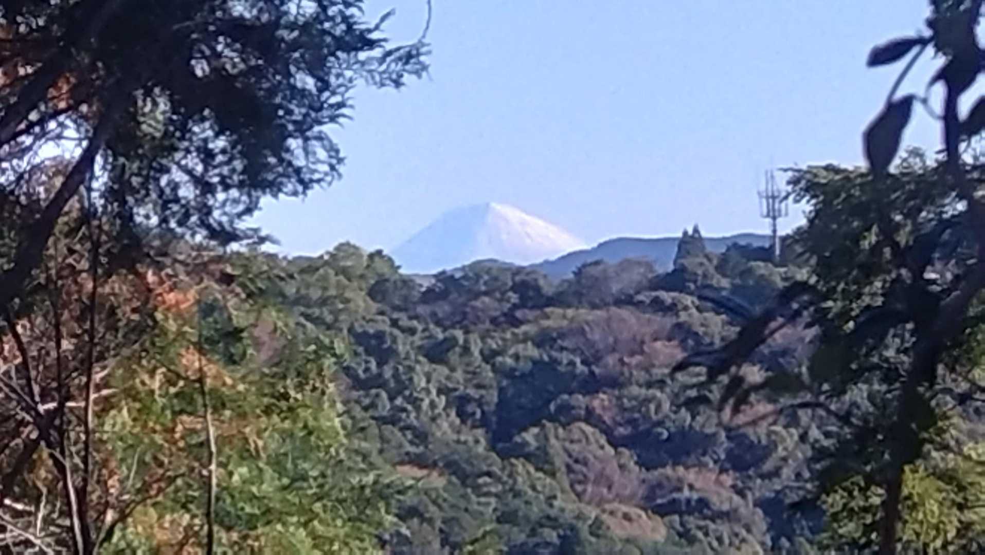 途中でも見れました！