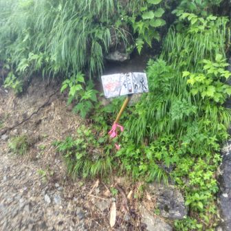 命の泉分岐　ここはスルーします