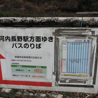 今日も無事に怪我なく下山出来ました。

ここで下山バス問題のトラウマがよぎる‥
ひぃ～😱
大丈夫。
あるあるある🤭