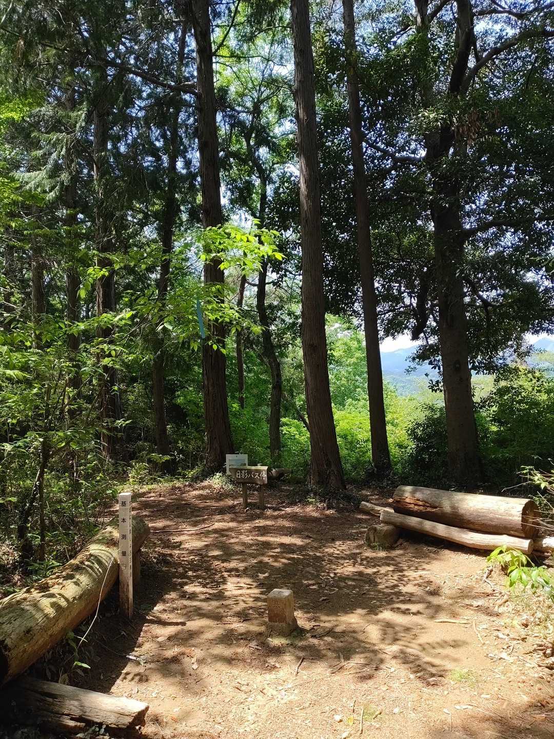 大日山山頂