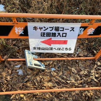 工事中なので迂回路🚧