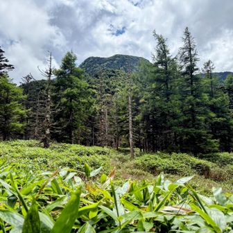 左に北横岳、