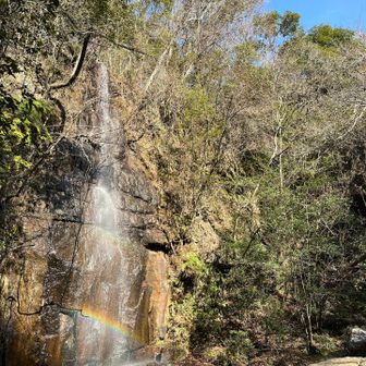 岩屋堂にこんな立派な滝があるの知らなかったー
結構迫力ある滝でした！
🌈も見れて🙌