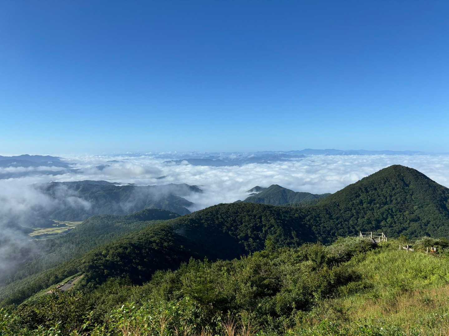 東の原登山口-女三瓶山 往復コースの写真