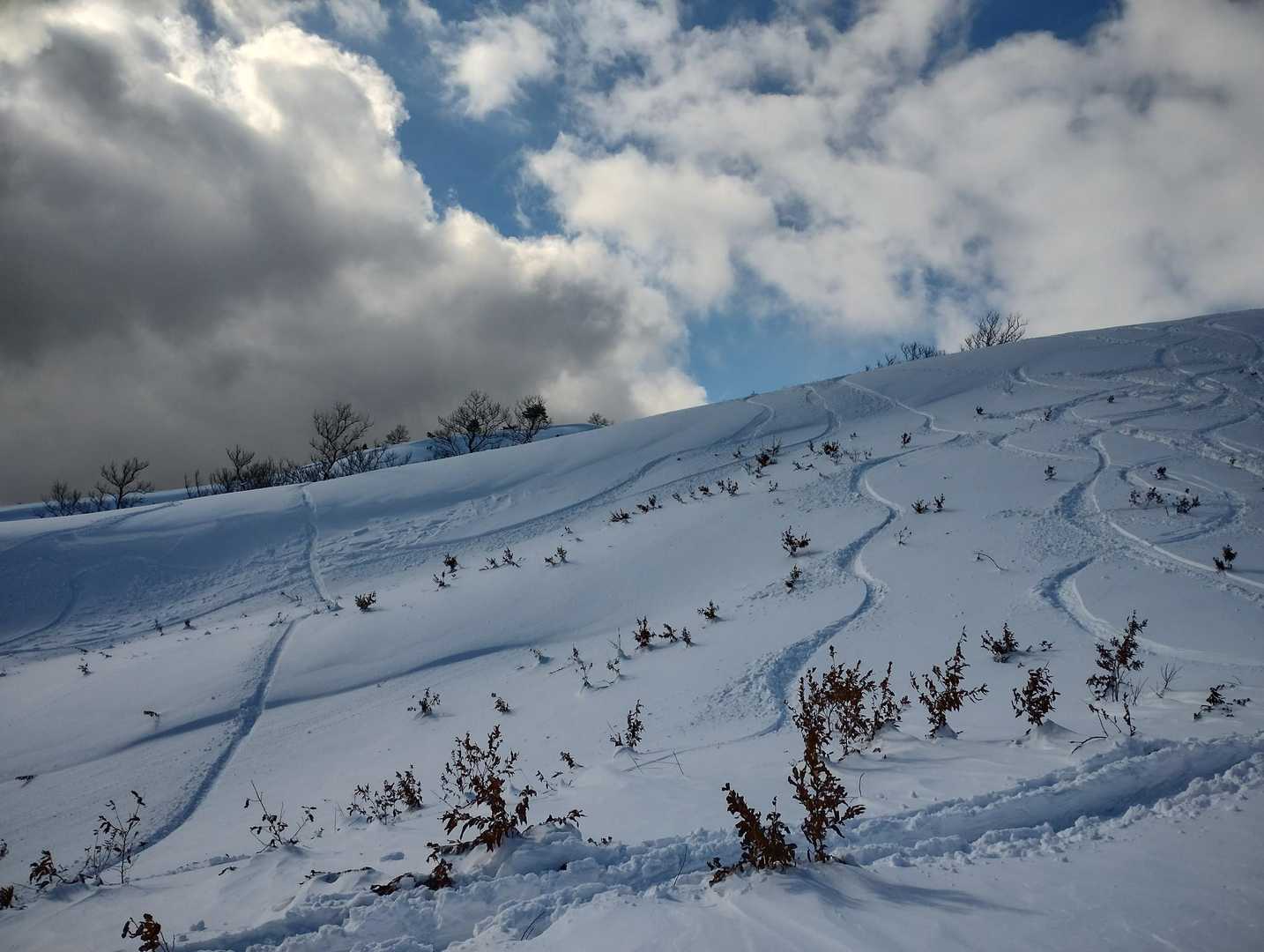 東登山口-深入山 往復コースの写真
