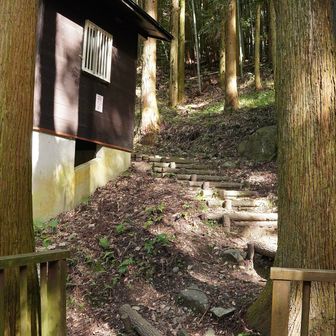 登山道は木道を少し歩いてコテージの間から