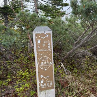本谷山到着
眺望はほぼなしです。