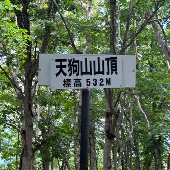寂しい