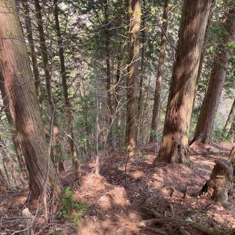 落ちそうなくらい急。