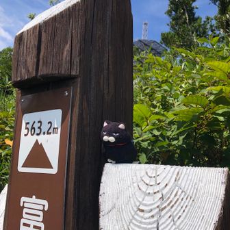 ゴンちゃん記念撮影