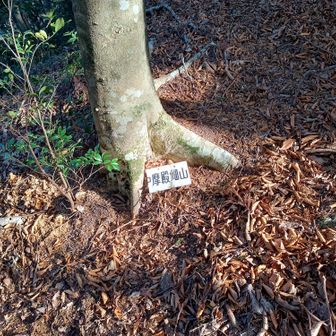 復路で縦走路の看板発見。