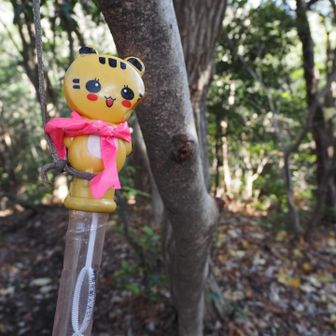 これに助けられました
なんとも