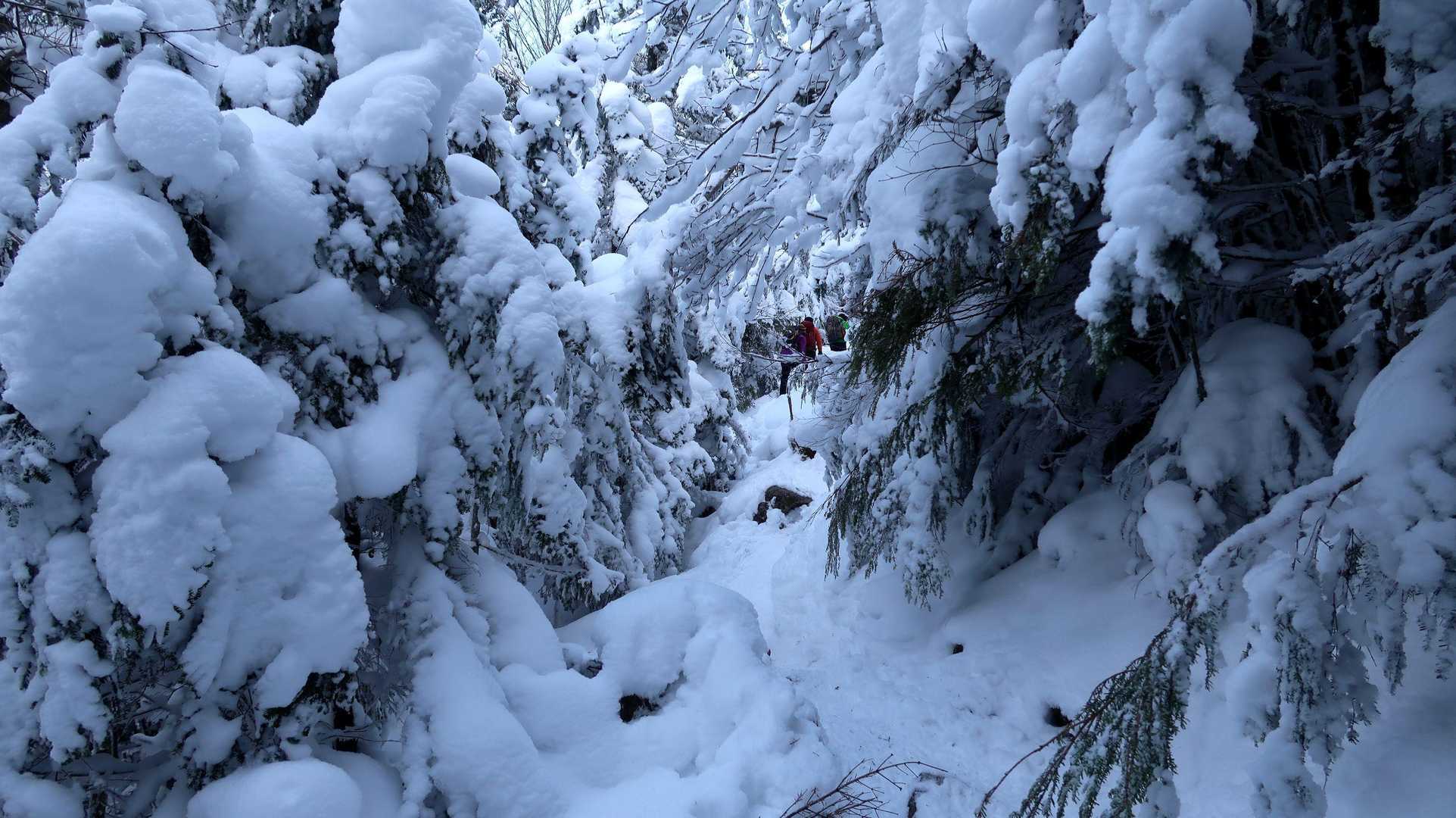 序盤からがっつり雪