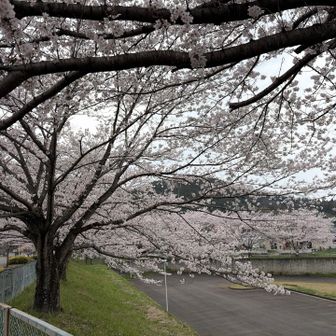 列車の時間を調べるとギリギリなので急ぐ事にします。つぎは一時間後。