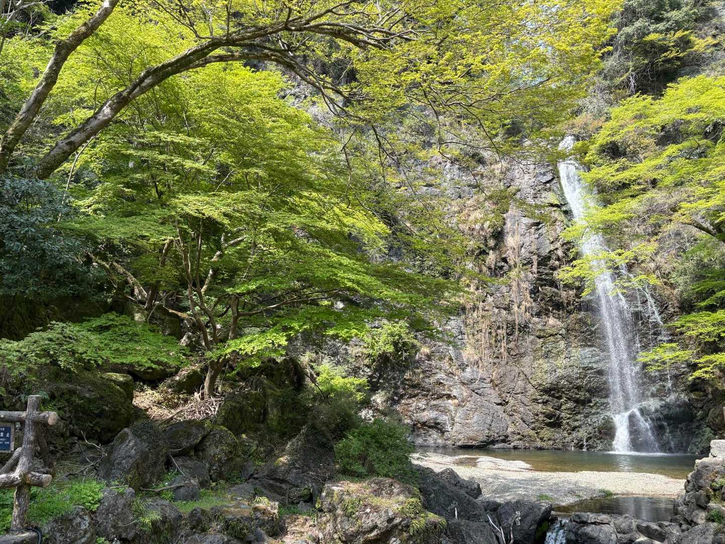 石子詰登山口-阪急　箕面駅 周回コースの写真