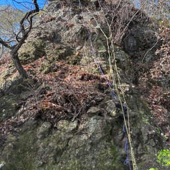 痩せ尾根は何ヶ所あったけど、ここはこの日1番の難所
滑る感じではないが、ロープではなく鎖が欲しい💦
歳とともにロープ場鎖場が苦手になって来た😩