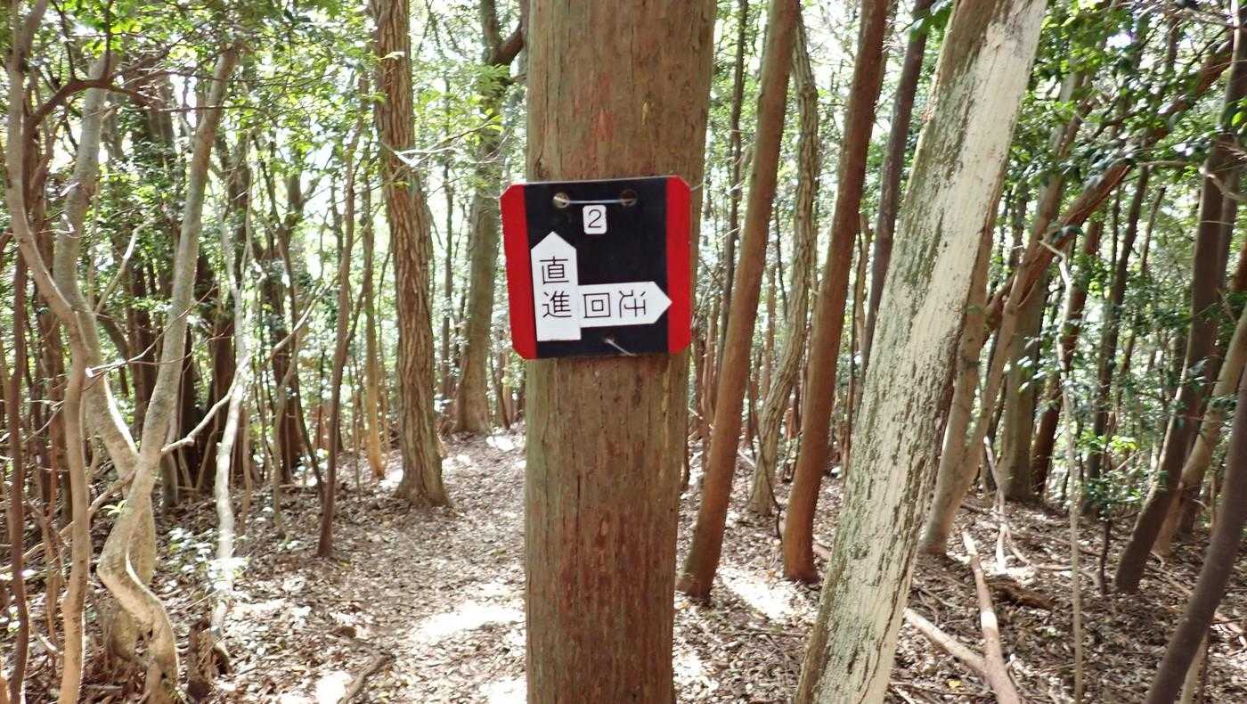 ２人組とは歩くペースが違うので先に行かせてもらった。
登りで見逃した２番目の分岐。どうやら迂回を登ったらしいが、降りも迂回で。