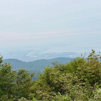 やっぱりガスガス