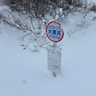 まだ雪が少ない