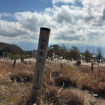山梨百名山大蔵高丸登頂🙌