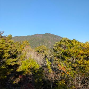目指す宇連山(うれさん)