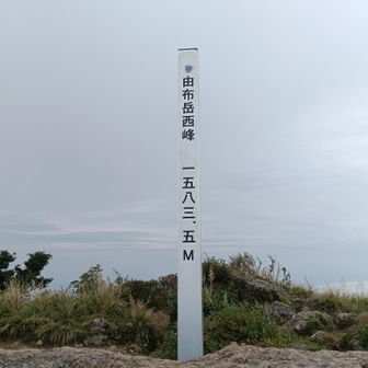 西峰　ヤッター
