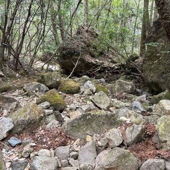 最後の岩場は中々の恐怖でした…