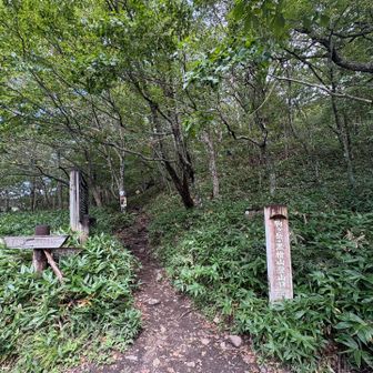 無事に下山しました🫶