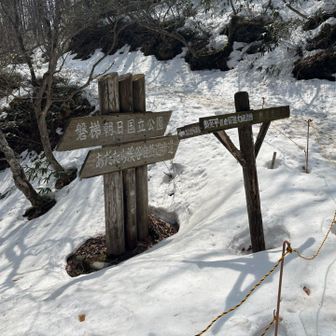 遊歩道は立ち入り禁止ですね