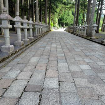 この先は戦国武将のお墓や大企業の凄い大きな慰霊碑などが数十万くらいありましたが、個人的思うところがあり写真は控えました。(⁠　⁠･⁠ω⁠･⁠)⁠人
