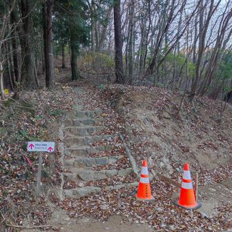 正面から山道へ入ります