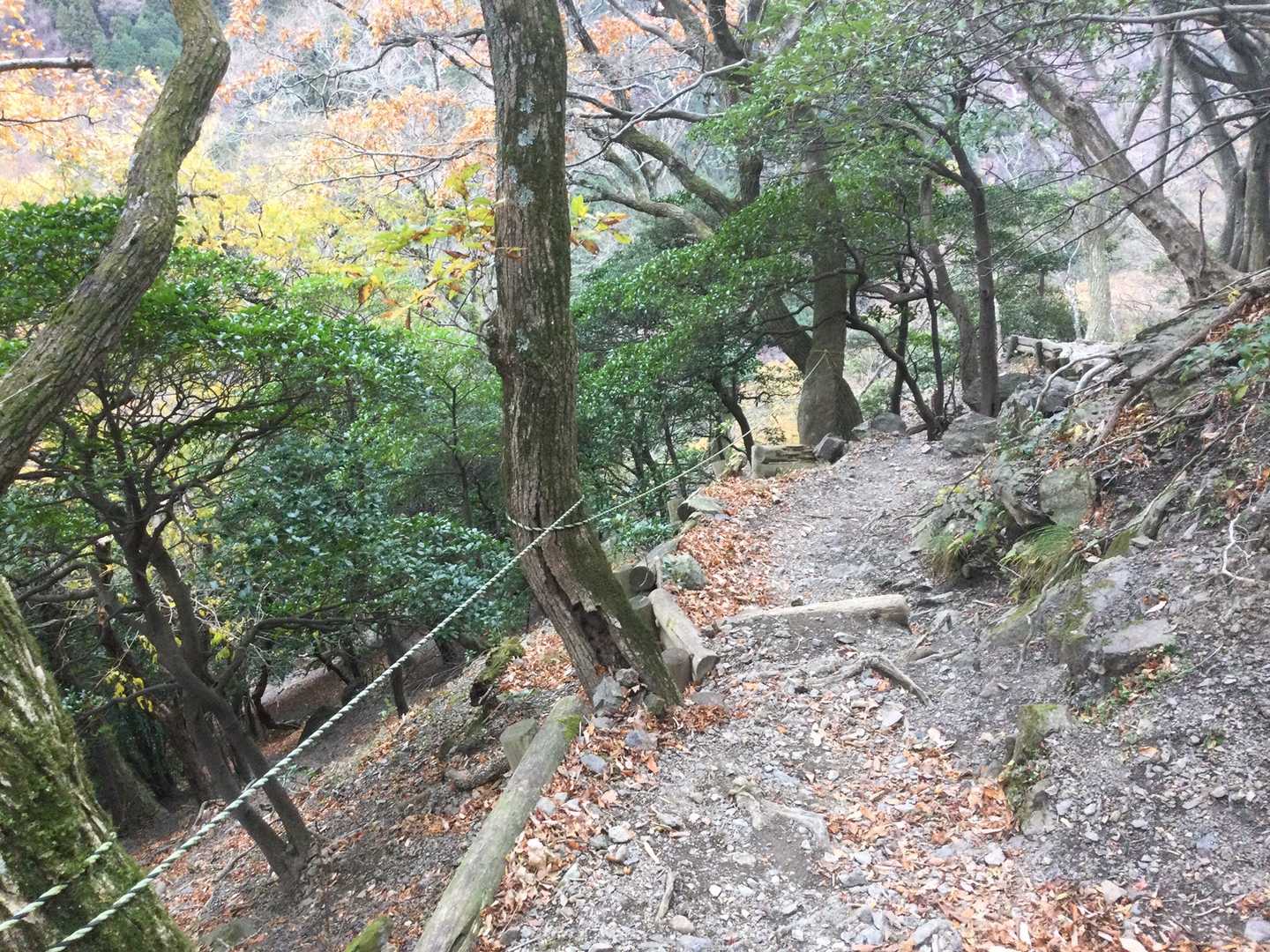 結構な急登続き、こまめにプチ休憩必要💧