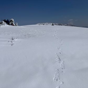 グランデコから登ってこられたスキーヤーさんがお二人。そっち側からも登山者さんは少なかったとのこと。