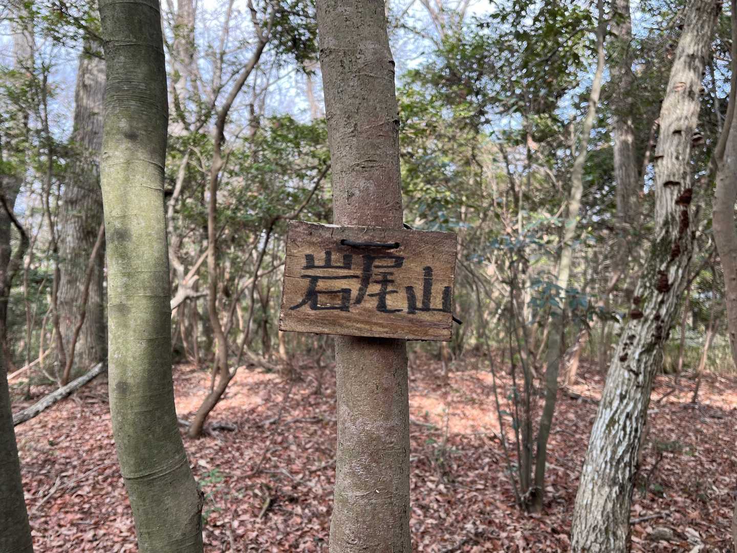 岩岩が無くても岩尾山🚩🎵
