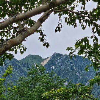 鳳凰山のあの尖っているのが気になってる、あれです🪨