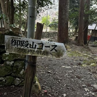 御殿山コース登山口　急登の始まり