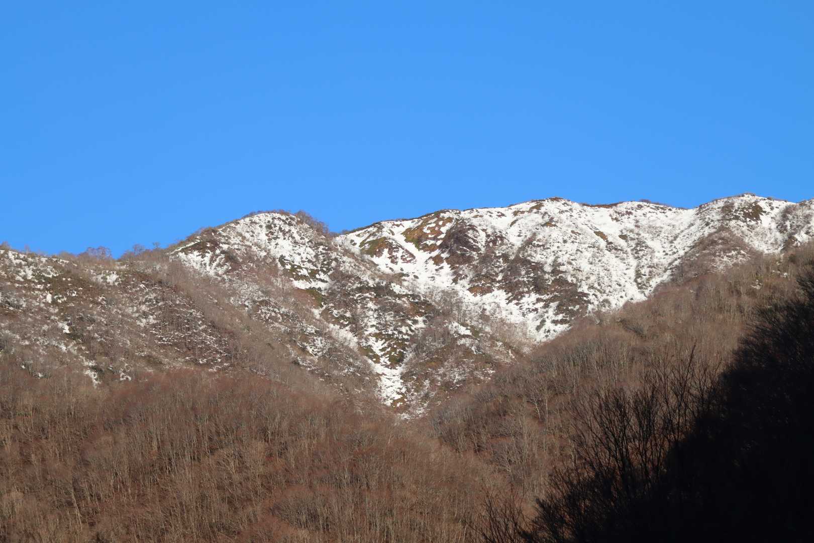 途中、正面に前山が見えました。
能郷白山はさらにその奥にあります。
ここから見る分にはあまり雪がないように見え
ます。