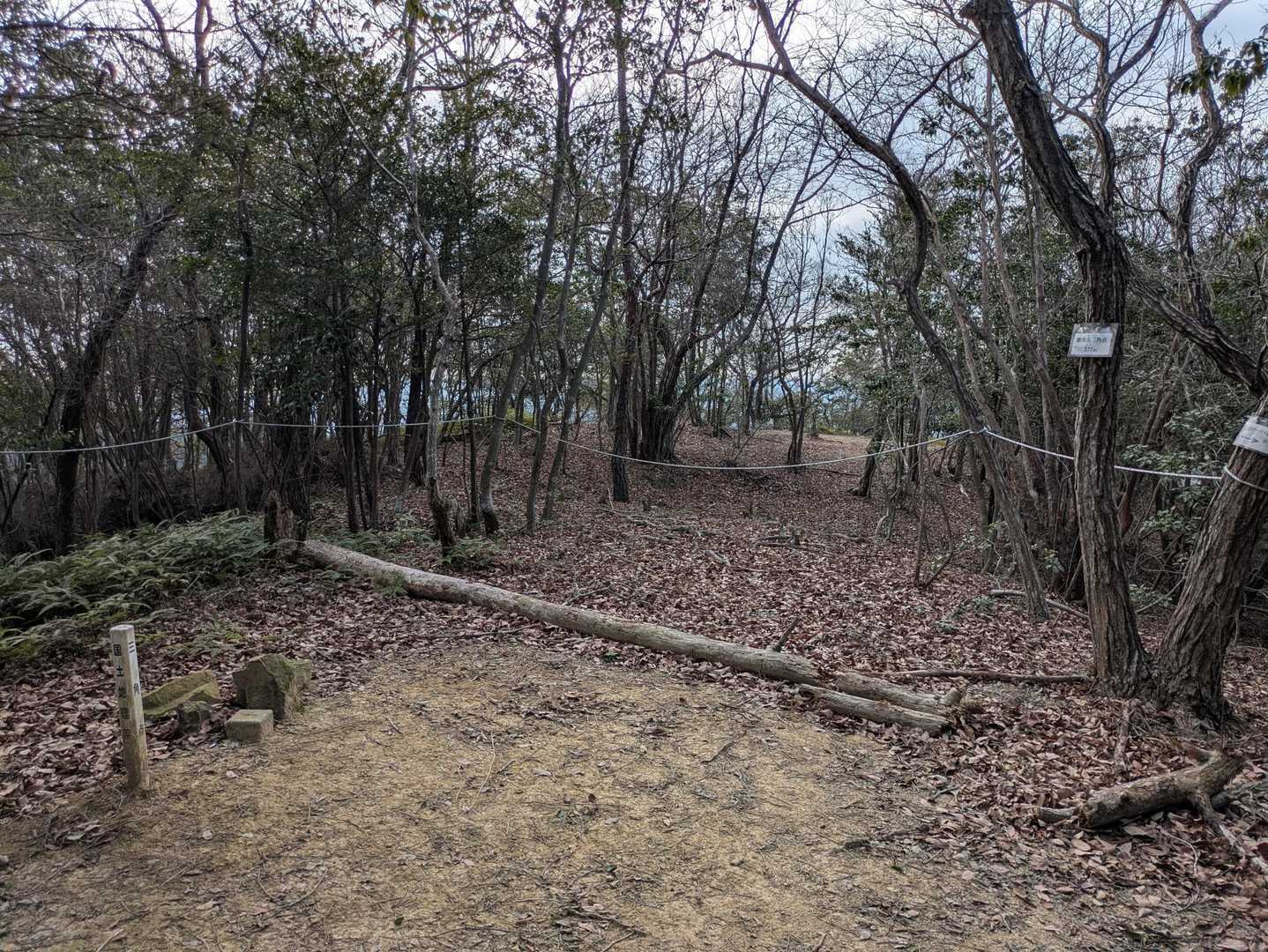 生駒山登山口-馬の蹄跡-生駒山-大鳥山-鳳張峠-鳳凰山-岩 周回コースの写真