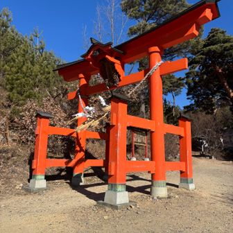 赤い大きな鳥居
