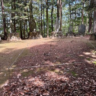 花園御嶽山
山名板は見つからず。
たくさんの石碑？があって、なんかちょっと不思議な空気。