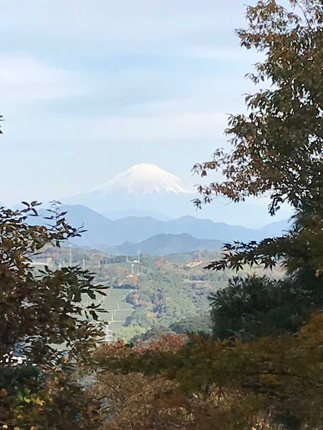 途中からも富士山が見えました。