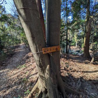 金魚の池の標識