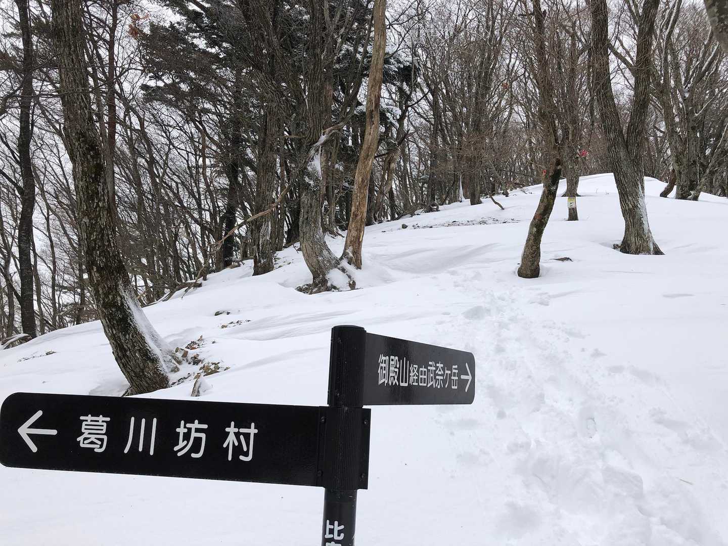 坊村バス停-坊村登山口-御殿山 往復コースの写真