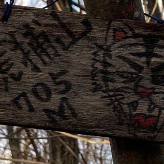 虎捕山山頂は林の中の緩やかな尾根道にある。眺望なし。風がなければ休憩は眺望のよい本殿上の岩場がおすすめ。