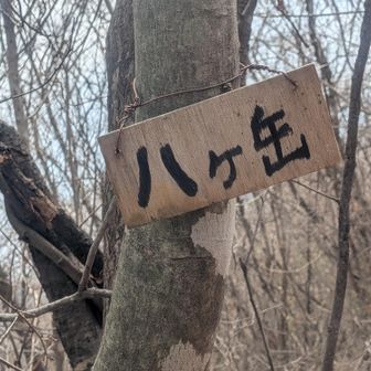 一つピークGET🙌  八ヶ岳
なんで八ヶ岳なんだろ❓️🤔