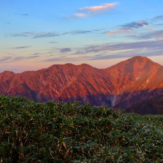 朝日に照らされた大日岳がカッコ良すぎる