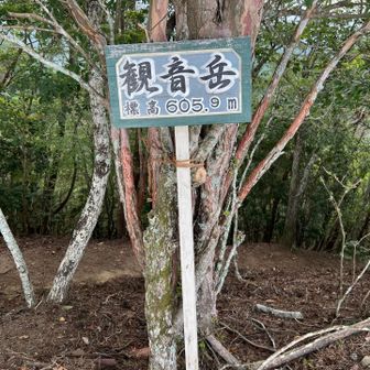あっとゆうま