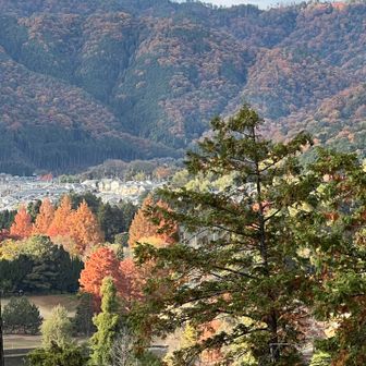 西山をあっさりあきらめたので、さらに西にある大田山に登ることにしました😊

深泥池から大田山の取付までソコソコ距離があります😅

これは、登ってる途中からの眺望✨