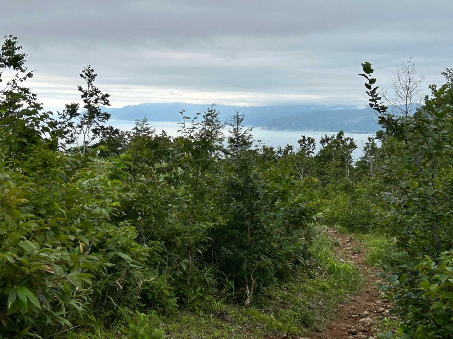 やっと海が見えた