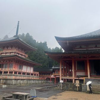 めっちゃ雨。